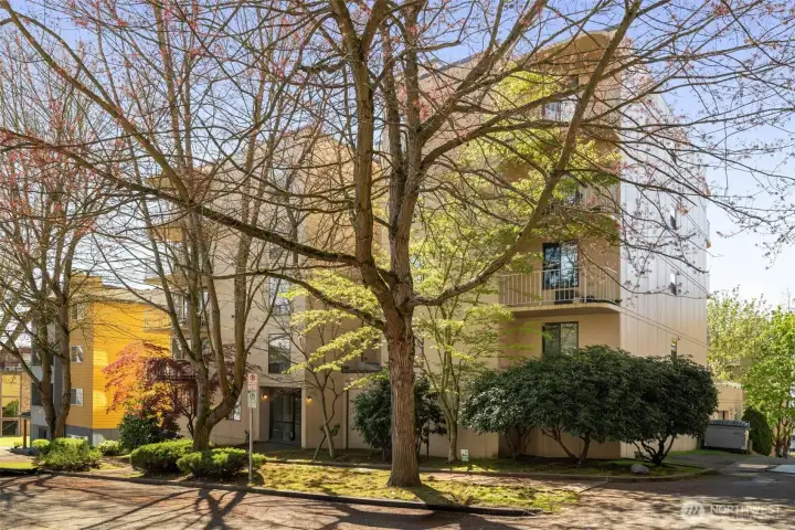 Anderson Place is a small 13 unit community on a tree-lined street just around the corner from Kinnear Park. The building is in great shape with updated siding, roof and windows.