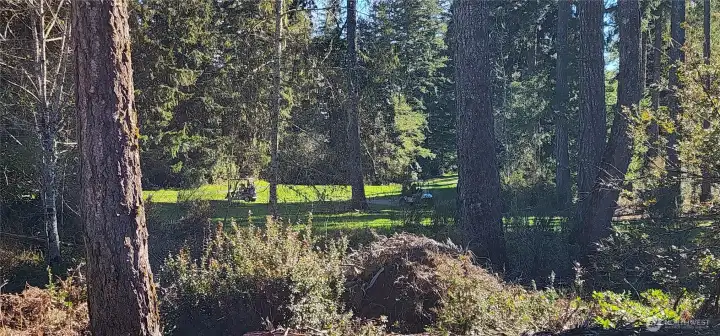 the golfers are at the Tee Box