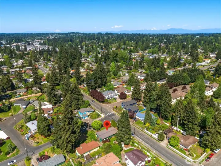 Wide aerial showcasing the home’s location within a quiet, tree-lined residential community.