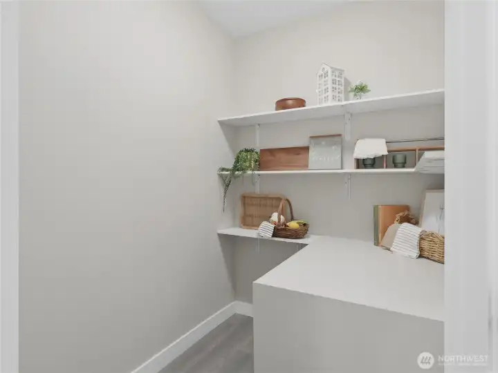 Walk-in Pantry interior