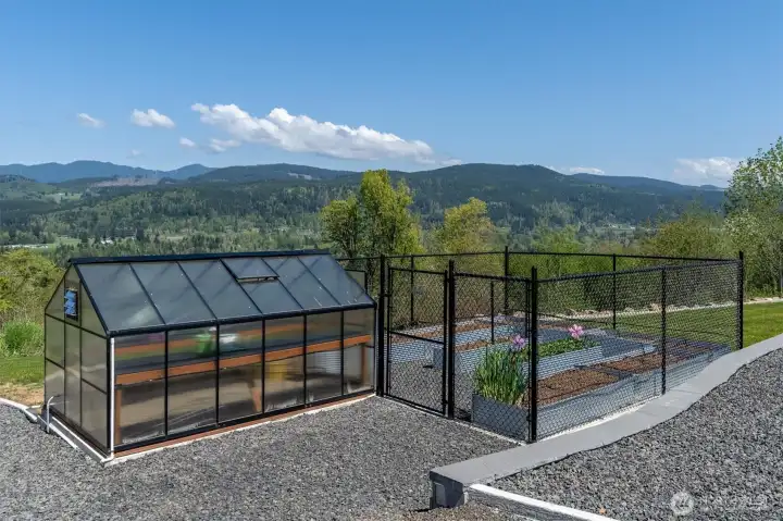 Green house with fenced in raised garden beds. There is drip lines that come from a hose going to the outdoor faucet.