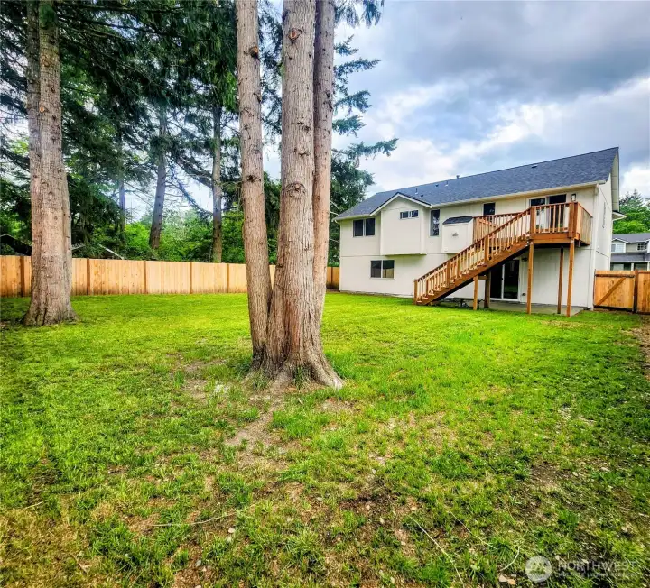 Backyard is private feeling.  Fence in the background abuts the plat's original, peaceful homestead.  Vintage farmhouse still remains.