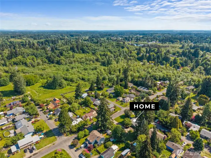Beautiful, verdant spaces abound here in the Northeast neighborhood!