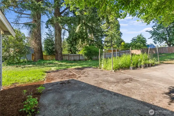 Garden has deer netting... look at all this beautiful space!