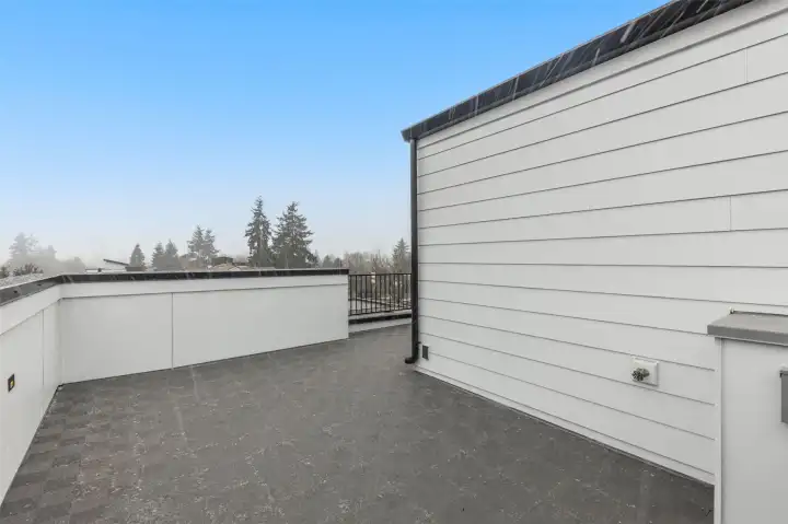 Generous rooftop deck with space for seating, grilling, and entertaining under the stars.