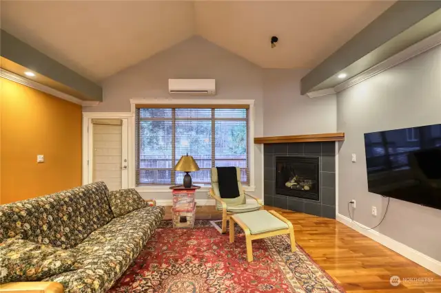 Large living room with vaulted ceiling, door to outside deck, propane fireplace, mini-split heat pump and cooling system.