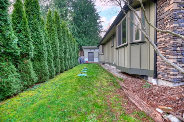 Cedar hedges provide a privacy screen with neighbors property.