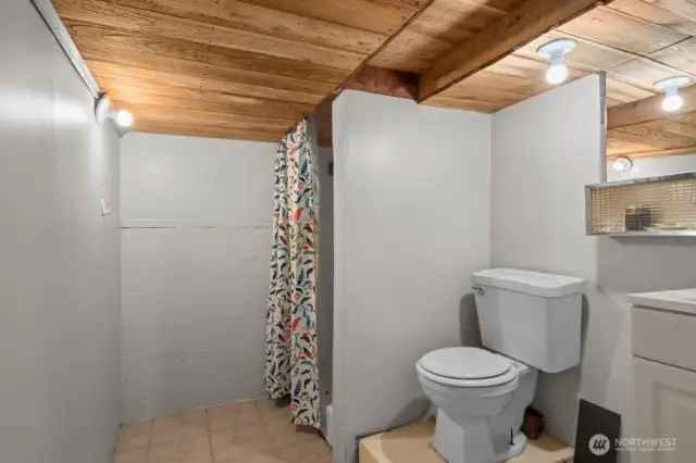 Downstairs bathroom