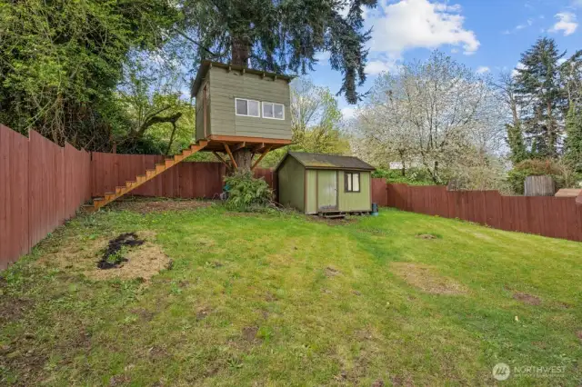 Backyard with shed & treehouse