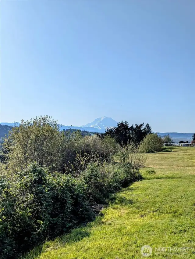 Nature at its finest—Mt. Rainier looking stunning from the property!