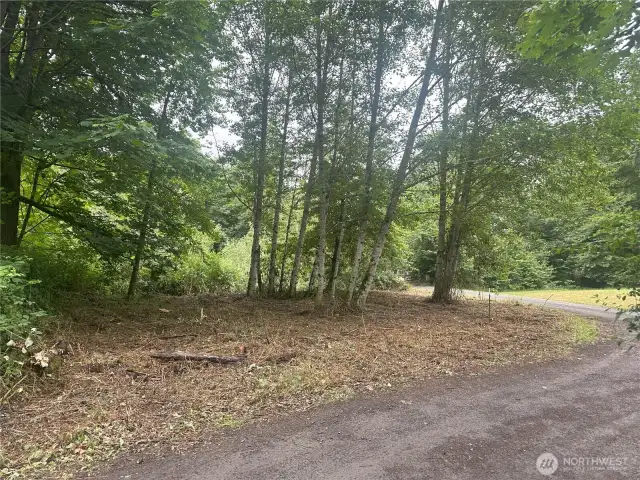 Level corner lot.
