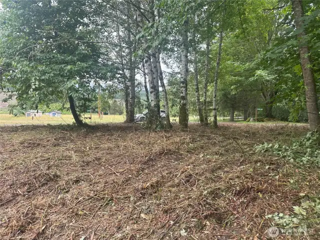 Level lot with room for RV shed.