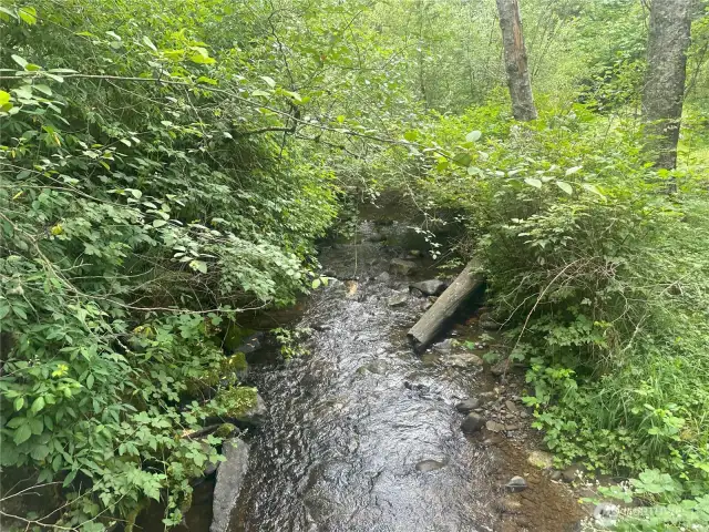 Property fronts on Snow Creek.