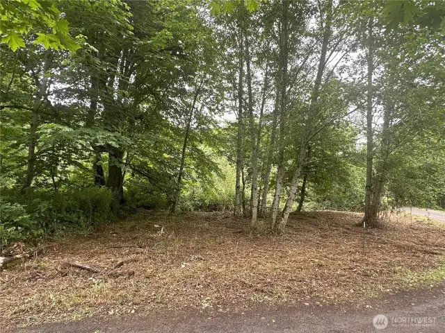 Level lot. Easy to access.