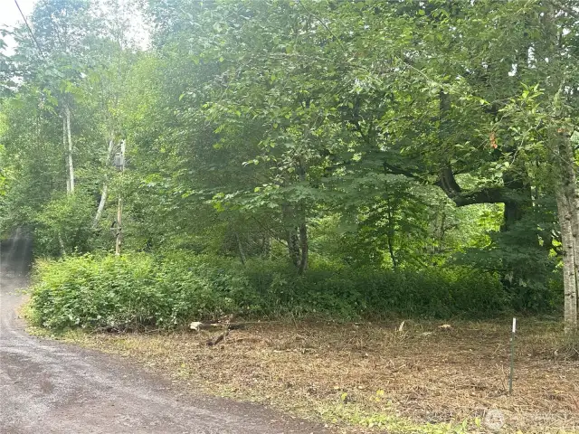 PUD power at Skidder Hill Rd.