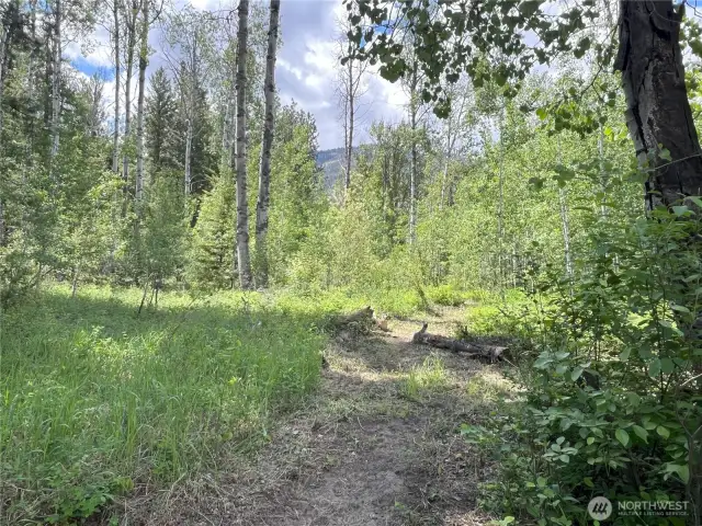 Community trail access for year-round recreation right from your back door.