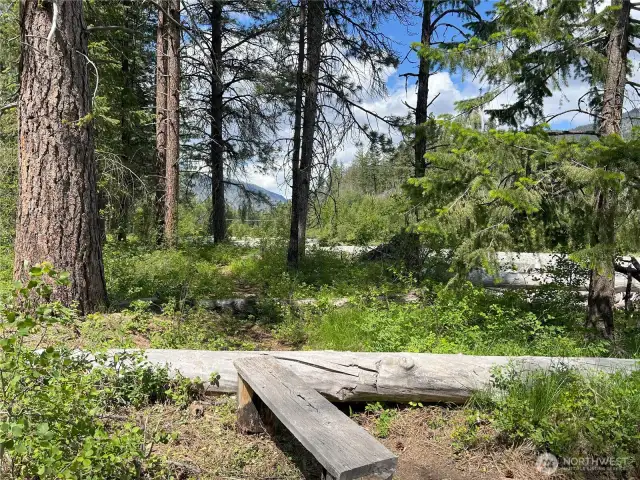 Tranquil Pathway – Meander through the forest on this peaceful trail, just steps from your back door, offering direct access to nature and nearby riverbanks.