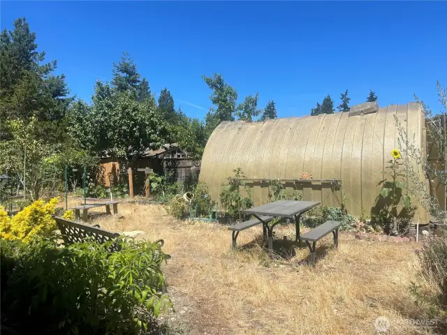 Check out this back yard. FULL of plants and trees