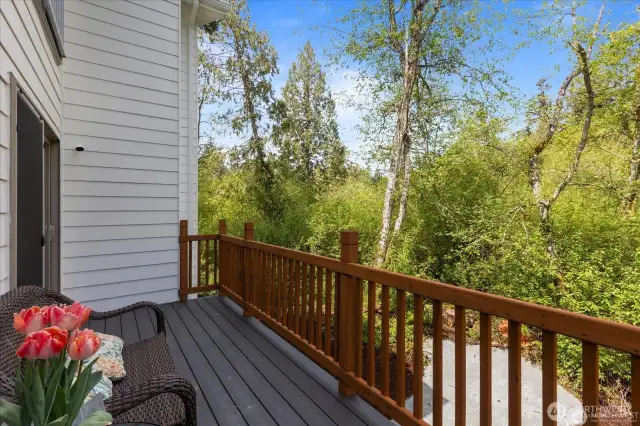Sitting on the deck literally feels like you're in a treehouse.