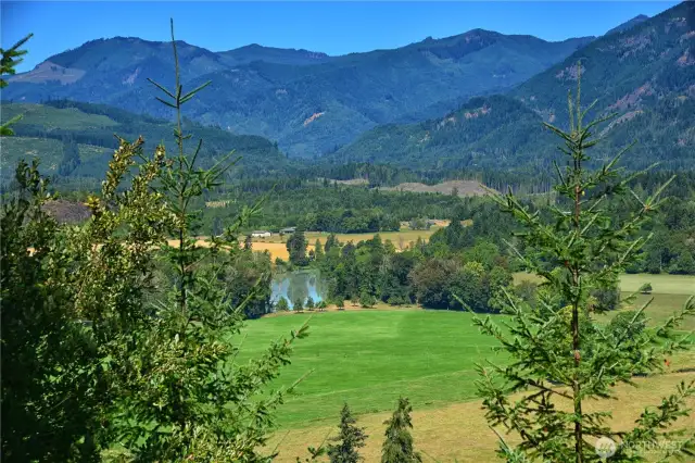 View of the Cowlitz river from Lot 3
