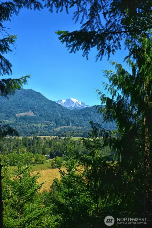 Mt. Rainier View from Lot 3