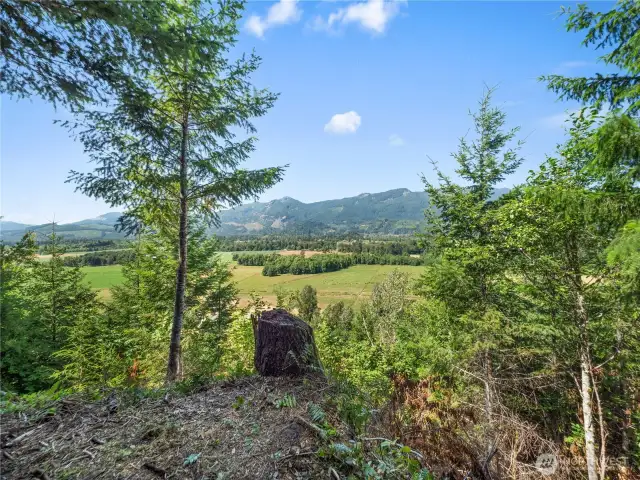 Views from Lot 3