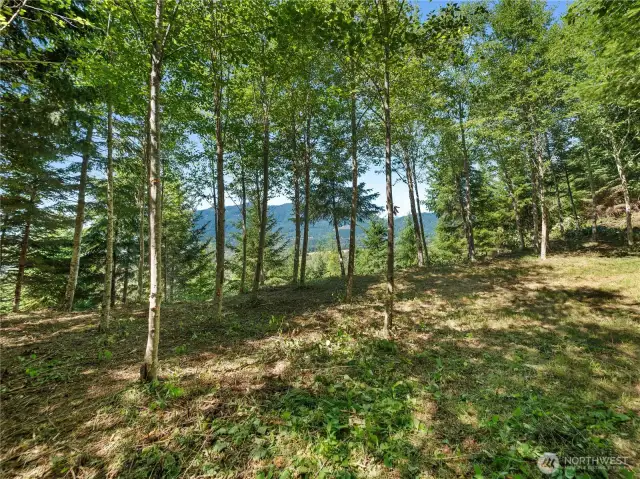 Photos are representative of the overall property and may not reflect the unique features of each individual lot.
