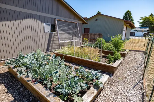 Fenced in garden space