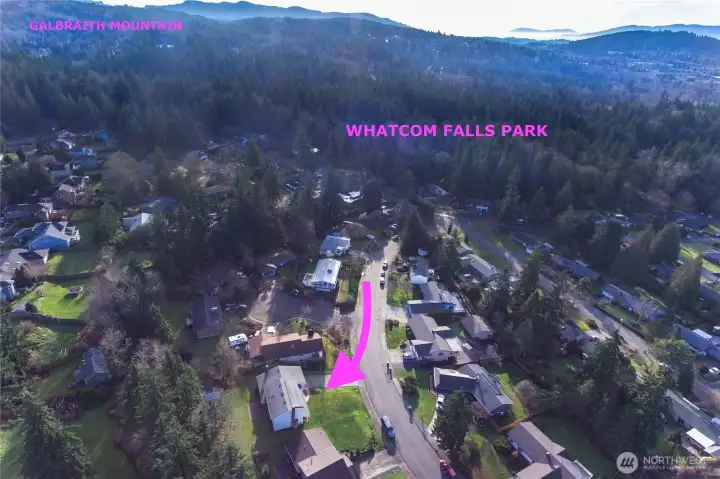 Ride your mountain bike through Whatcom Falls Park to Galbraith Mountain