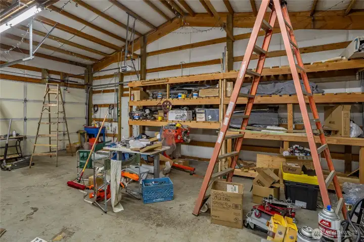 Storage shelves anyone?