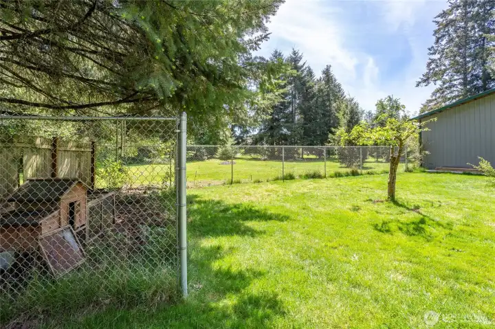Enclosed dog run in back yard.