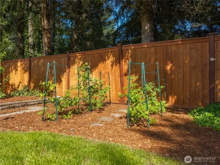 Sunlight for your garden and newer fully fenced yard.