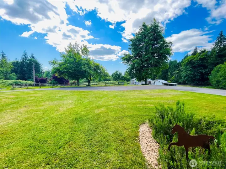 Front Yard