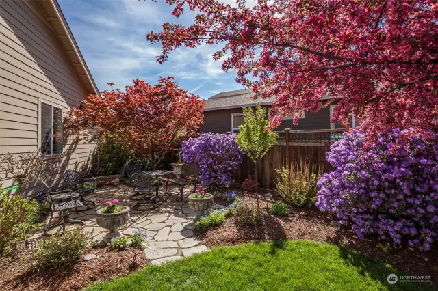 Your backyard oasis provides fabulous year-round color and several living spaces