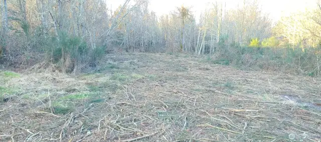 Potential building site