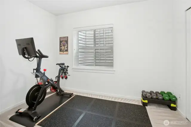 Lower bedroom / office / exercise room