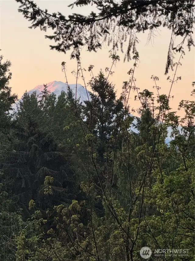 Mt. Rainier view from the upper deck