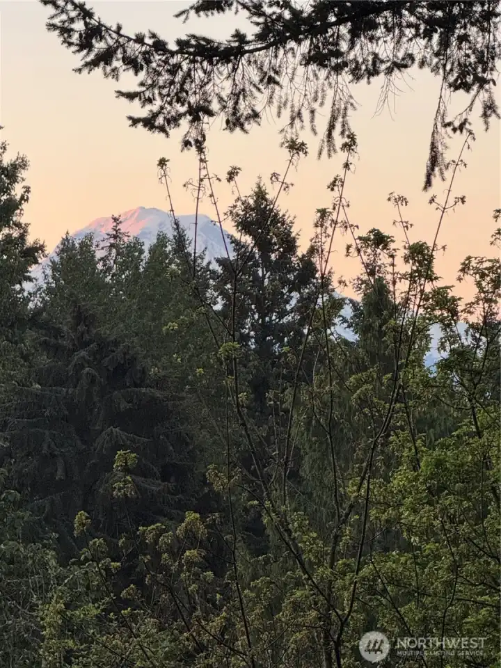 Mt. Rainier view from the upper deck