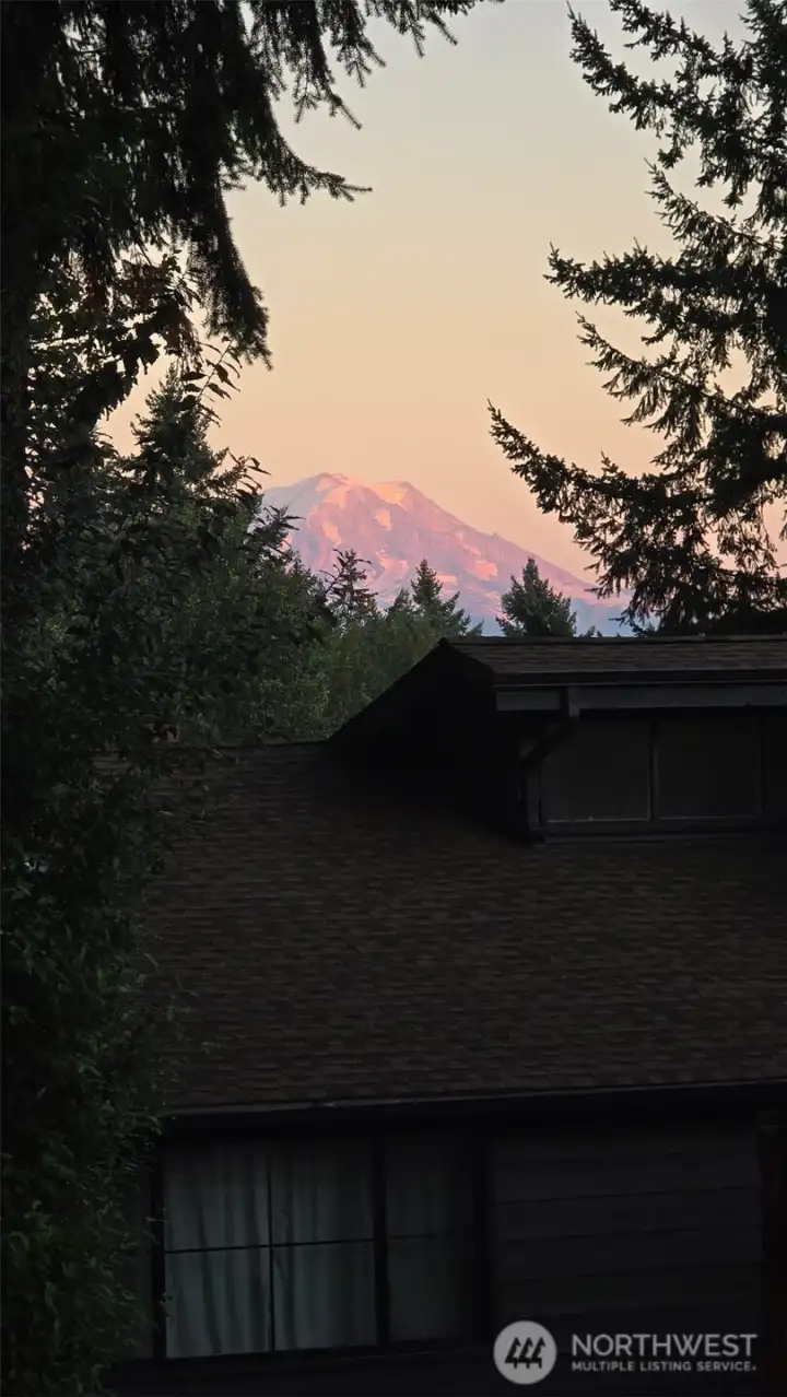 Mt. Rainier view from the front of the house.