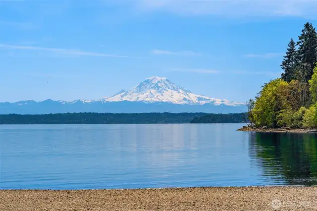 Incredible Mt Rainier views