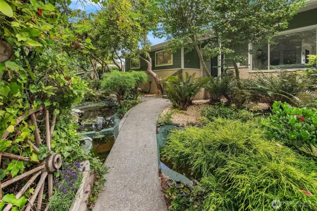 Koi pond with mature landscaping- Koi stay