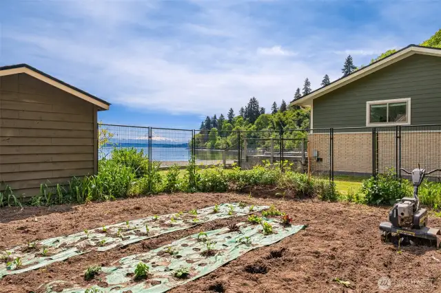 Fenced organic garden area