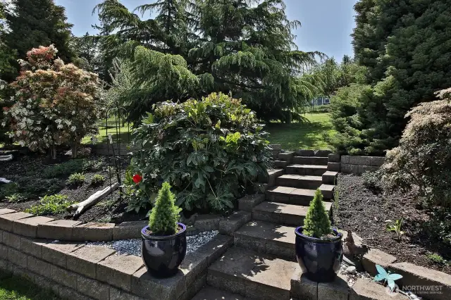 Terraced backyard