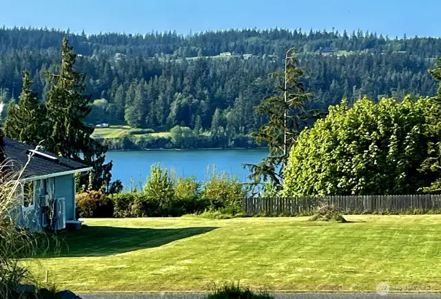 View from top of rear yard