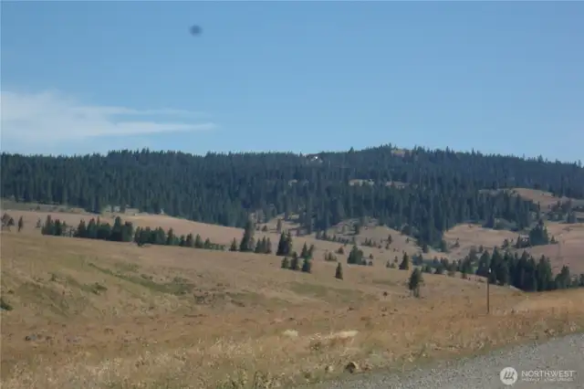views on the way in