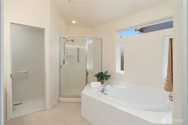 Soaking tub and shower