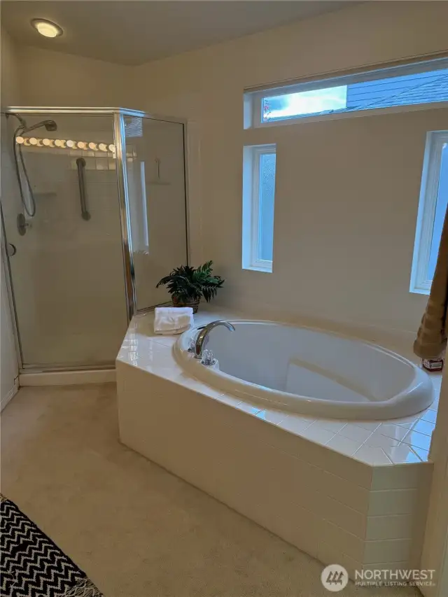 Soaking tub in light bright bathroom
