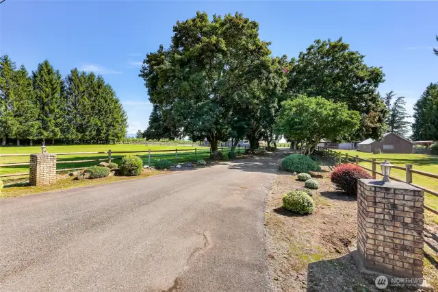 A welcoming path under a canopy of trees.