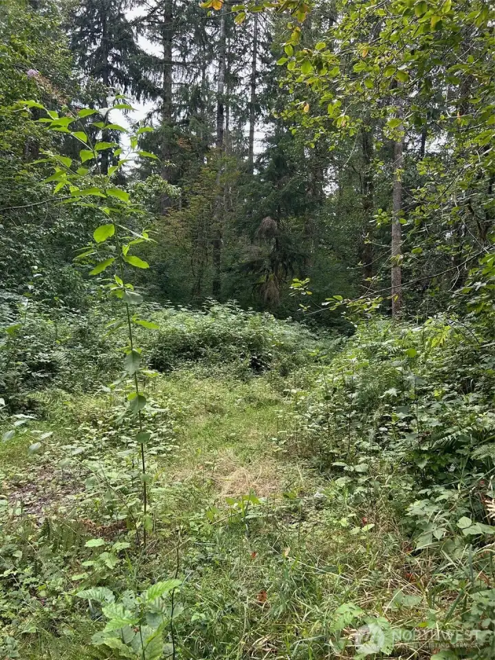 Area in front of well.