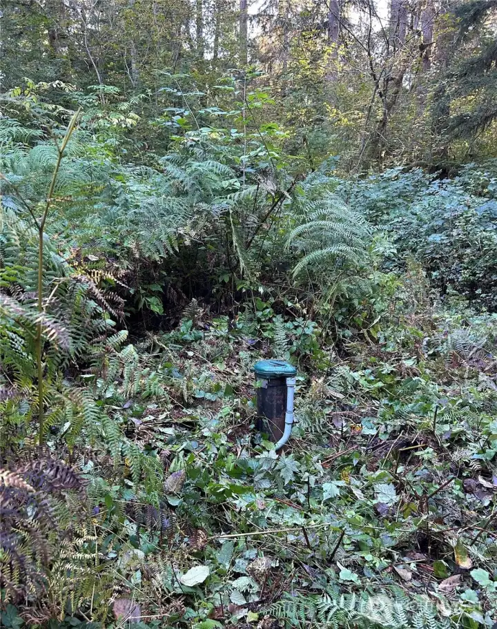 Well pipe at the back of property.